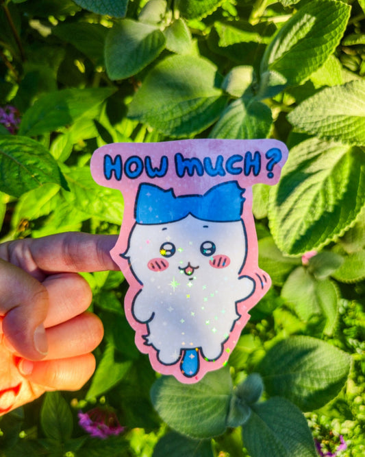 How Much, How Much ??? Sticker